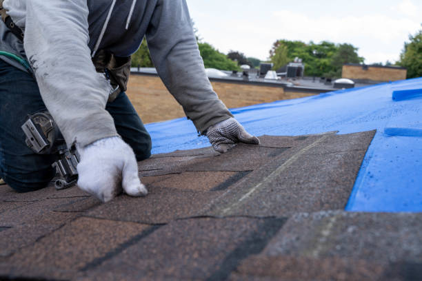 Best Emergency Roof Repair  in Loogootee, IN