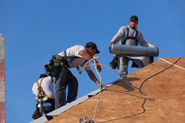 Best Roof Leak Repair  in Loogootee, IN